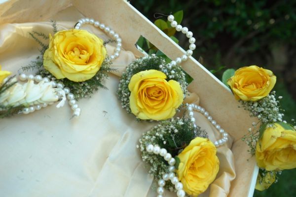 Read more about the article General Brand Awareness